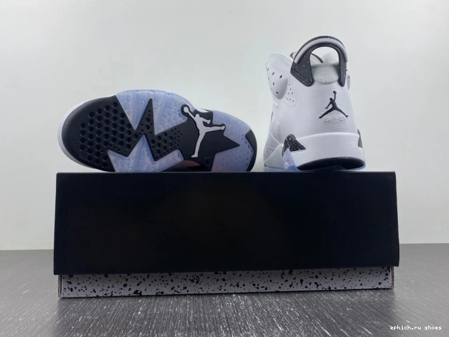 Rep Reverse CT8529-112 Oreo Air Jordan 6 0807